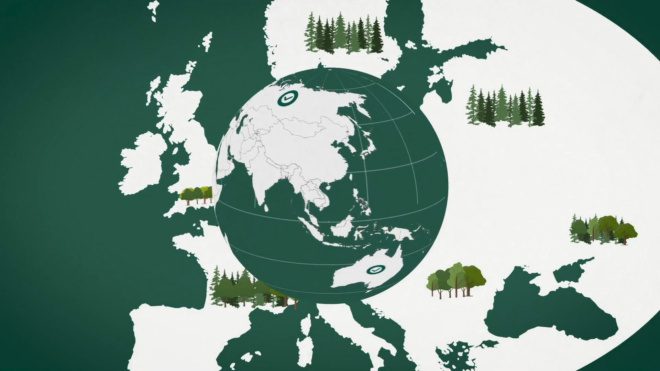 Supply Chain: From Forest to Producer to Consumer | MedioriteMediorite